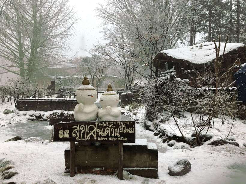 Seoul: Full-Day Winter Trip Ski Resort, Ice Valley, Namiseom - Why this winter day trip works