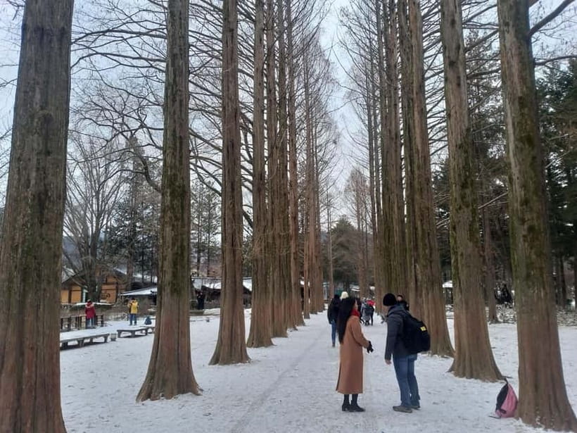 Seoul: Full-Day Winter Trip Ski Resort, Ice Valley, Namiseom - What you must bring for the ski resort