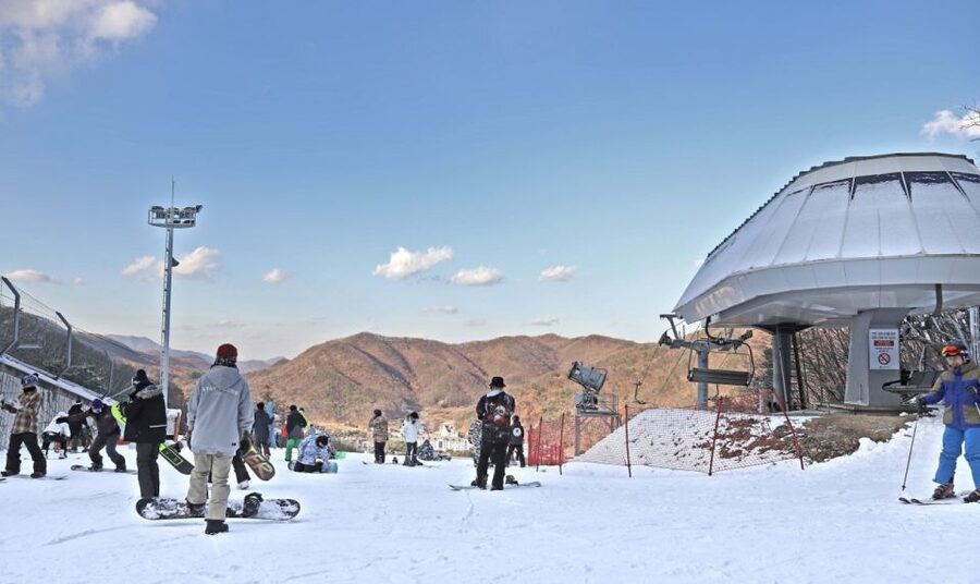 Seoul: Jisan Forest Winter Ski Day Tour with Basic Lesson - What you learn in the one-hour basic lesson