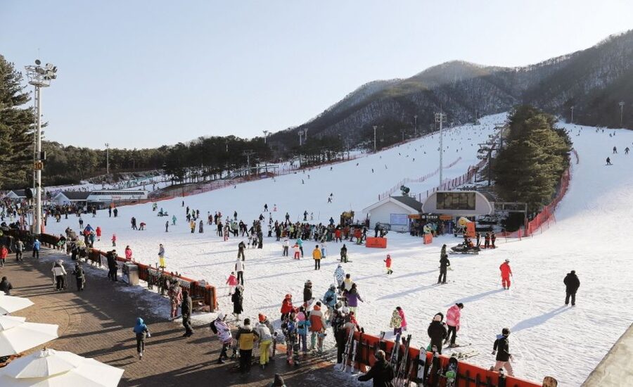 Seoul: Jisan Forest Winter Ski Day Tour with Basic Lesson - Small details that can make the day easier
