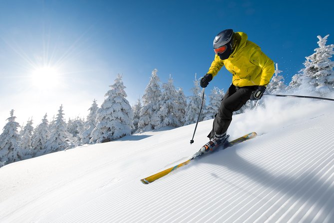 Seoul Ski Tour at Jisan Forest Resort - What the slopes offer after the lesson
