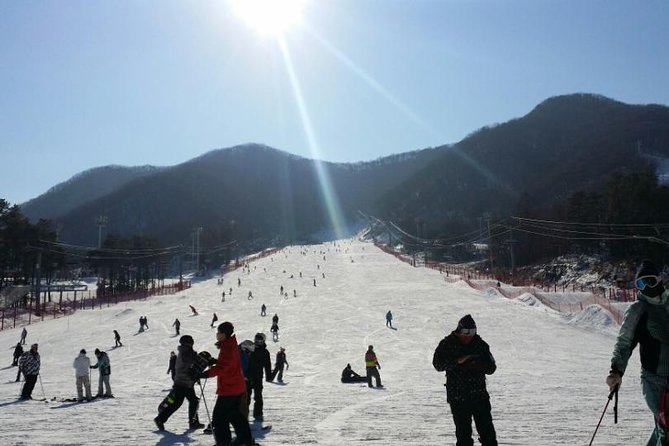 Seoul Ski Tour at Jisan Forest Resort - Lunch and the end-of-day shopping stop