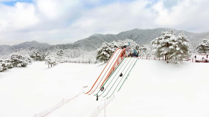 Seoul: Vivaldi Park Winter Ski with Eobi Ice Valley Day Tour - Key points to know before you go