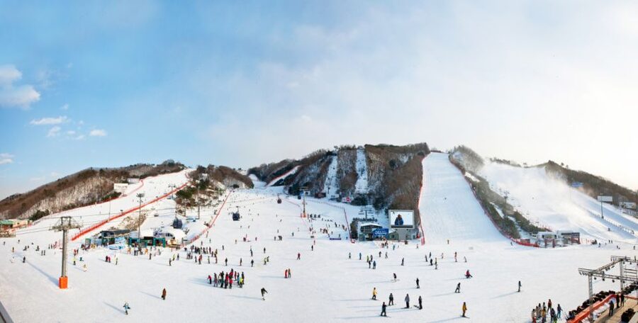 Seoul: Vivaldi Park Winter Ski with Nami Island Day Tour - Nami Island after the snow
