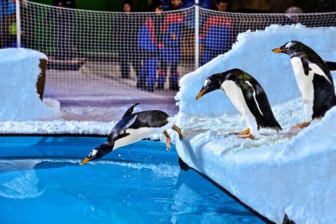 Ski Dubai Admission Ticket with Optional Transfer - Meeting the penguins