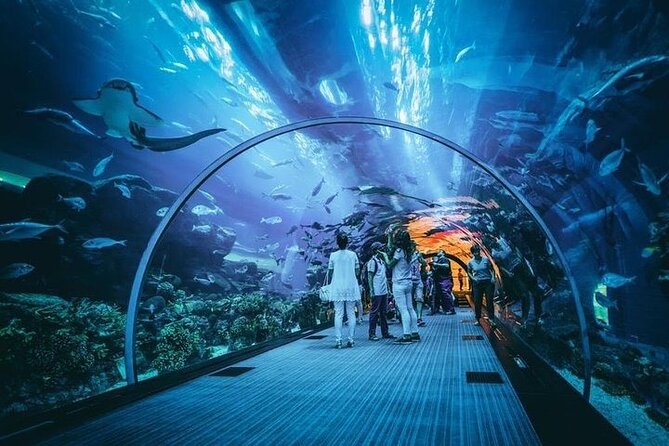 Ski Dubai Tickets with options - The aquarium and Underwater Zoo: impressive, but possibly brief