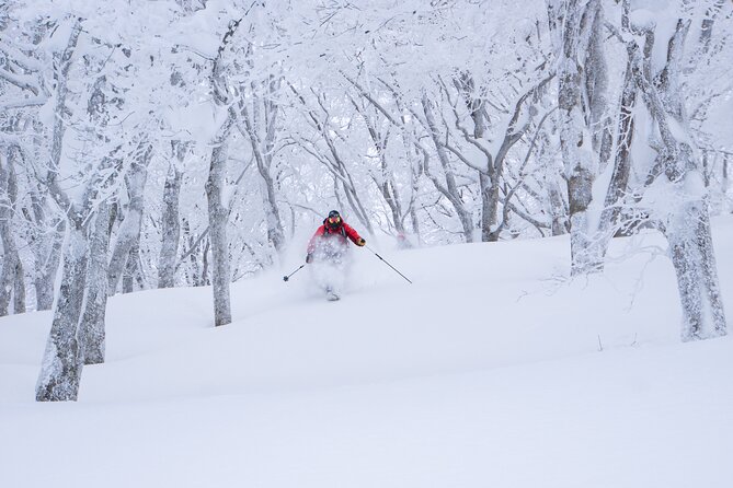 Ski or Snowboard Lesson in Shiga Kogen (4Hours) - Four hours to improve your skiing or snowboarding