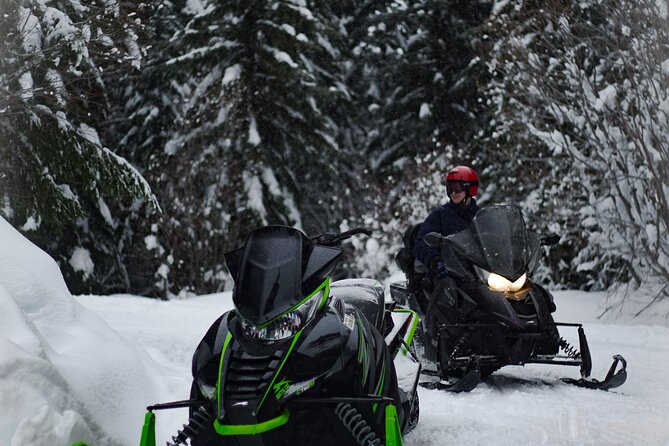 Ski & Snow Tour to Bakuriani from Kutaisi with Borjomi Stop - A full winter day from Kutaisi to the mountains