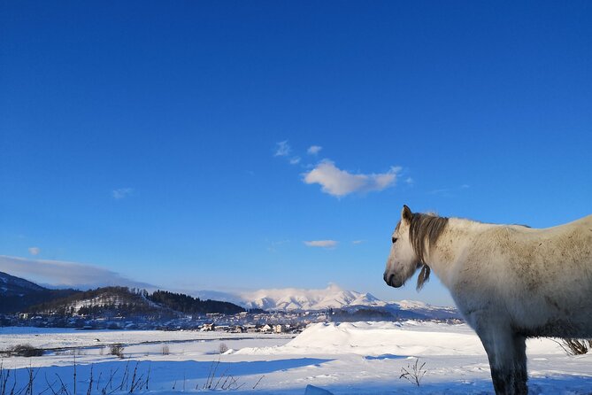 Ski & Snow Tour to Bakuriani from Kutaisi with Borjomi Stop - Practical details before you book