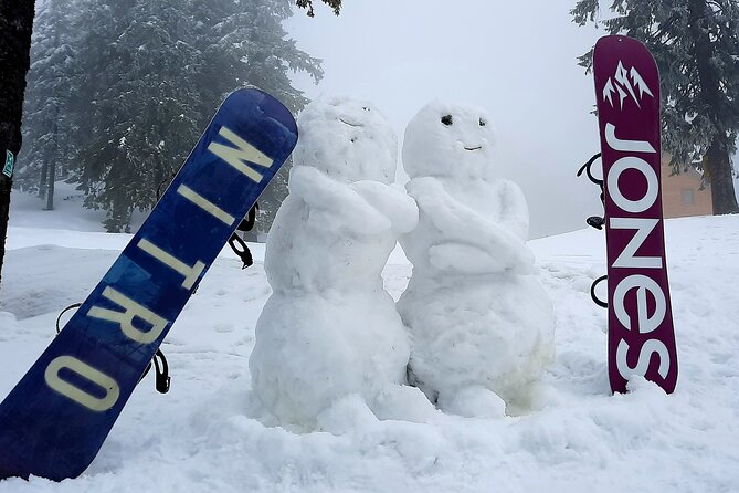 Ski & snowboard lessons on Poiana Brasov- Full Private day tour from Brasov - How the price compares with the work involved