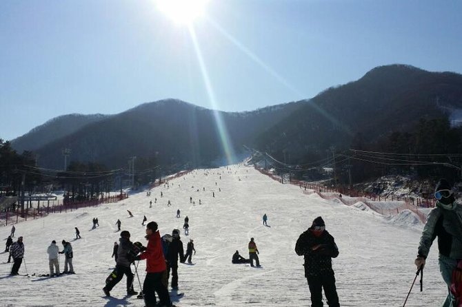 Ski Tour to Jisan Ski Resort from Seoul - Choosing Between Jisan and Yangji