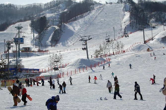 Ski Tour to Jisan Ski Resort from Seoul - The Ginseng Center on the Way Back