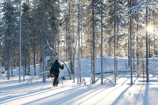 Ski Trek to the Wilderness - Extra Small group - Learning the skis before setting off