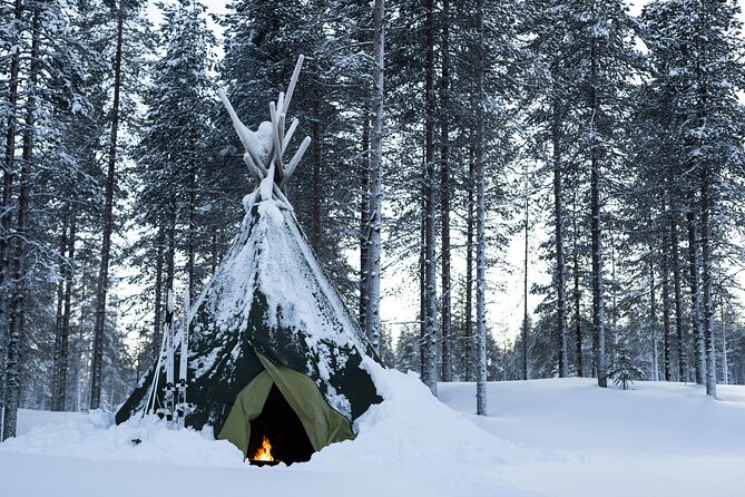 Ski Trek to the Wilderness - Extra Small group - Forests, frozen lakes, and open swamps