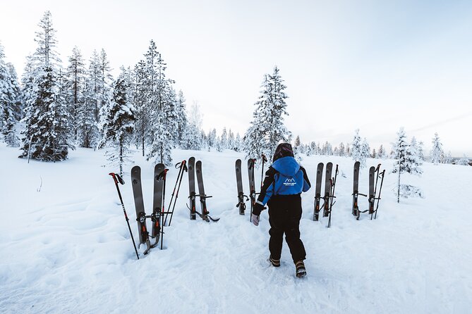 Ski Trekking Safari in Lapland - What the Four-Hour Outing Really Includes