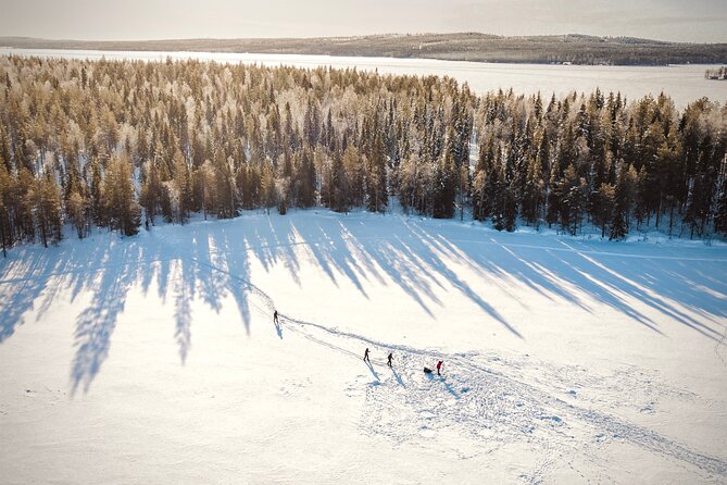 Ski Trekking Safari in Lapland - Is the Price Good Value at $131.32?