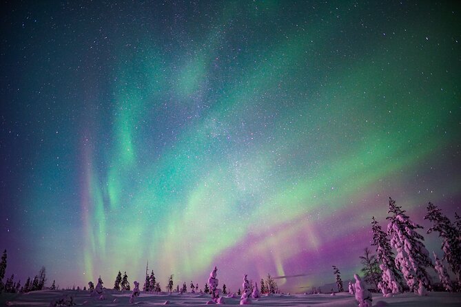 Ski Trekking under the Northern Lights - Who will enjoy this outing most