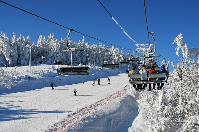 Skiing For Beginners - Private Day Trip from Krakow - Key points to know before booking