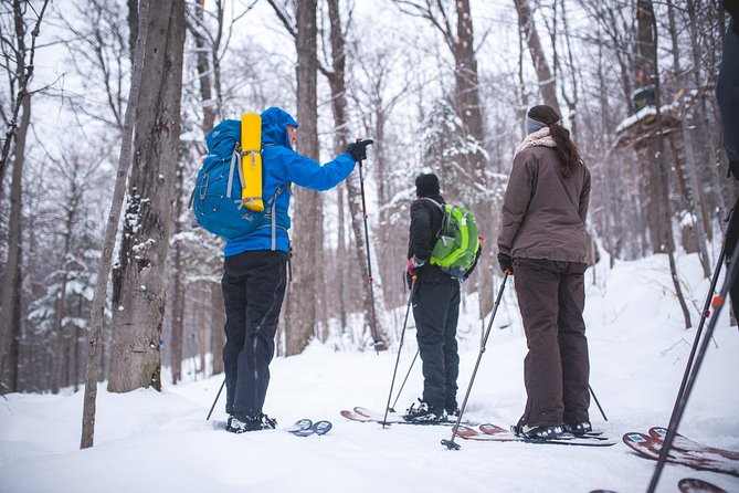 Skiing (Hok Ski) Excursion in Jacques-Cartier National Park - What Hok skiing feels like in the Jacques-Cartier forest