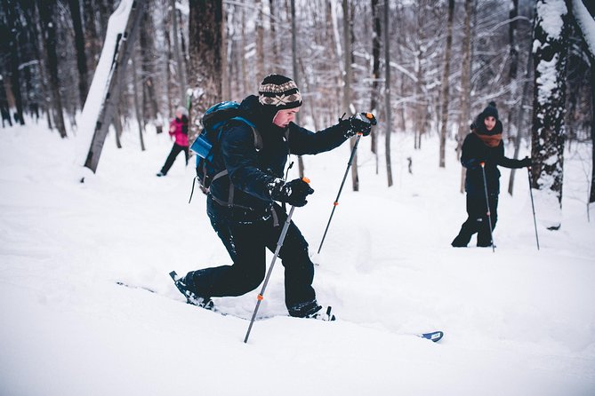 Skiing (Hok Ski) Excursion in Jacques-Cartier National Park - The more technical section: climbs and telemark descents