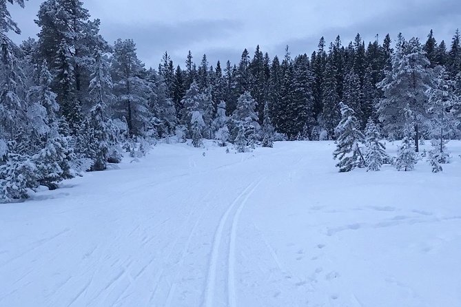 Skiing in winter wonderland - What makes the small group worth paying for