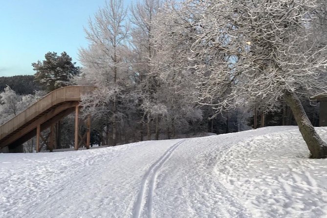 Skiing in winter wonderland - Who will enjoy this most