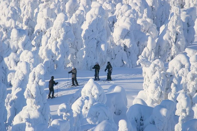 Small-Group Lapland Cross Country Ski - Practical booking advice for Rovaniemi