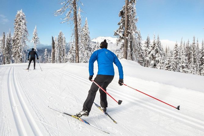 Small-Group Lapland Cross Country Ski - Meeting in central Rovaniemi