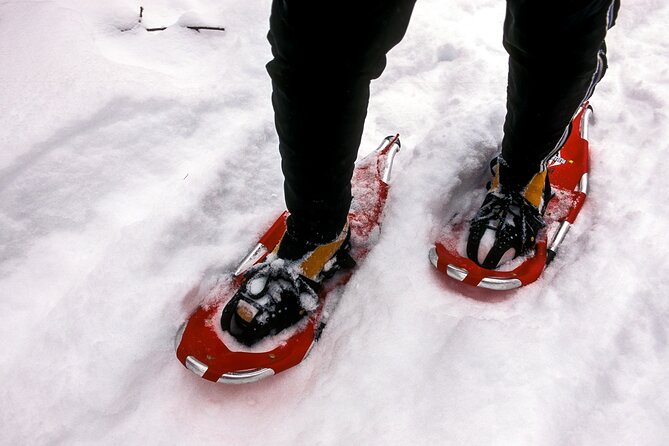 Snowshoe OR Cross Country Ski Tours in Glacier National Park - Snowshoeing or cross country skiing: the key question