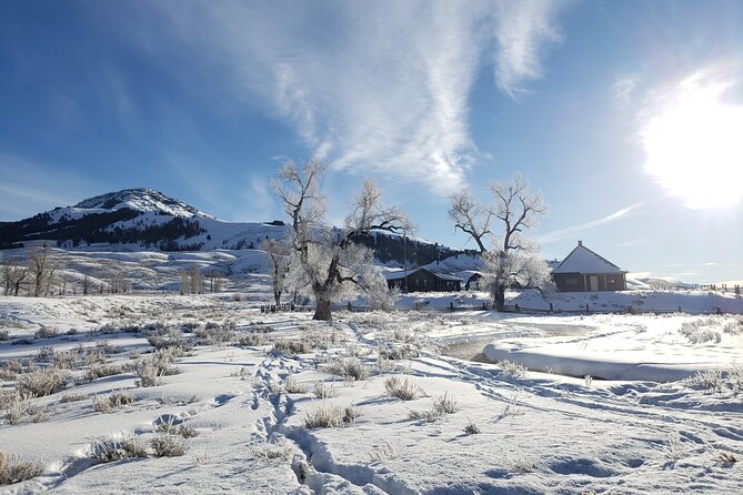 Snowshoe or XC Ski in North Yellowstone (Half Day) - The Guides and the Private Format