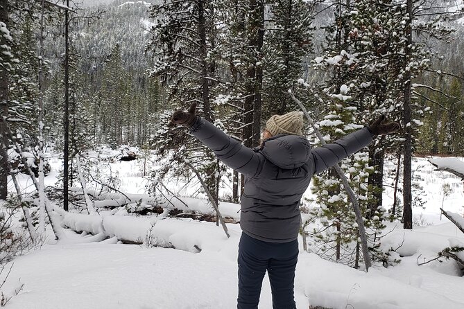 Snowshoe or XC Ski in North Yellowstone (Half Day) - Price, Extra Fees, and What You Receive