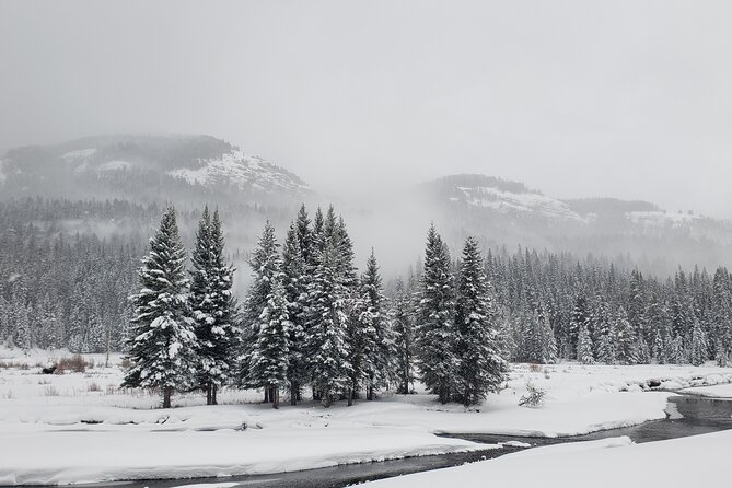 Snowshoe or XC Ski in North Yellowstone (Half Day) - Weather, Fitness, and Practical Details