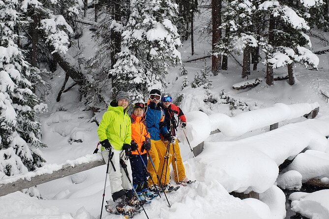 Snowshoe or XC Ski in North Yellowstone (Half Day) - What Five Hours Feels Like in the Park