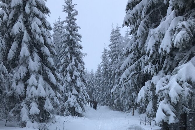 The Ultimate Norwegian Skiing Experience - How much skiing fits into three and a half hours