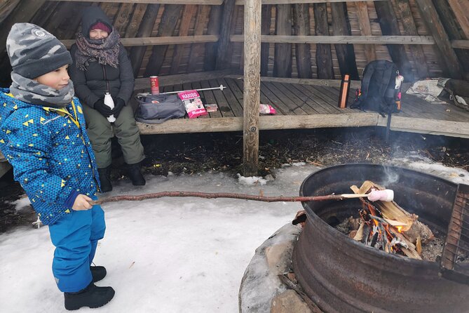 Traditional Sight-Skiing Experience in Kemi - The frozen Baltic Sea and Laitakari option