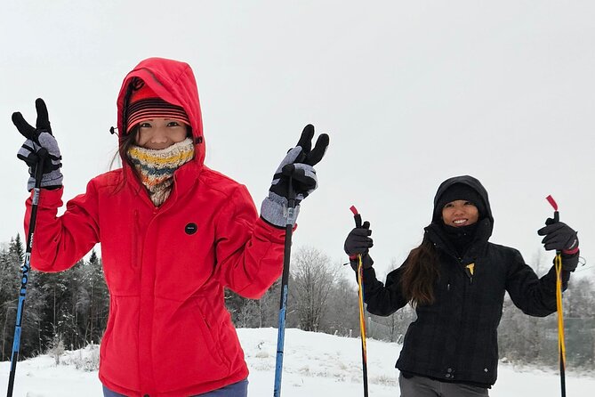 Traditional Sight-Skiing Experience in Kemi - Who should book this Kemi ski outing?