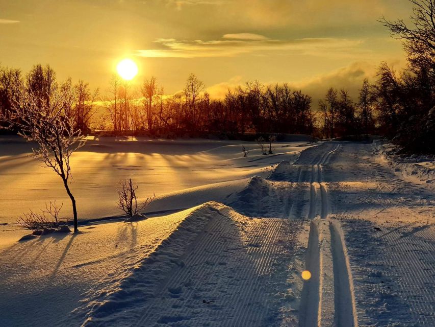 Tromsø: Cross Country Guided Skiing Course - First lesson: balance before speed