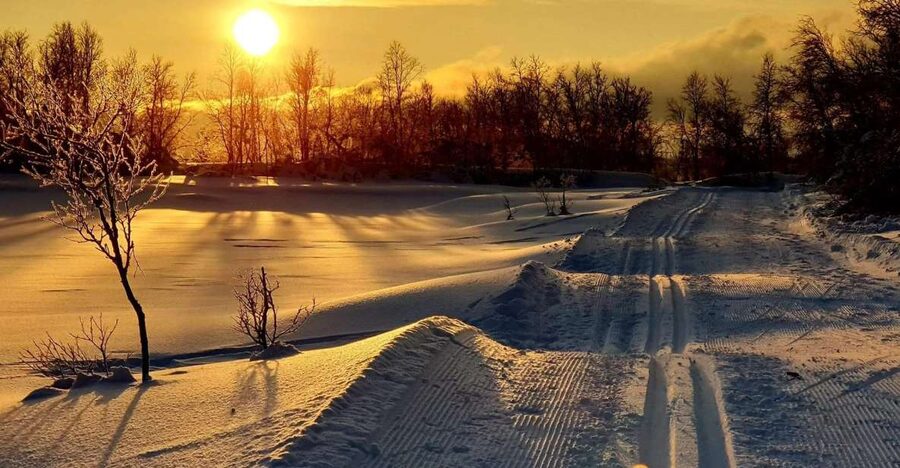 Tromsø: Cross Country Guided Skiing Course - Is $99 a fair price?