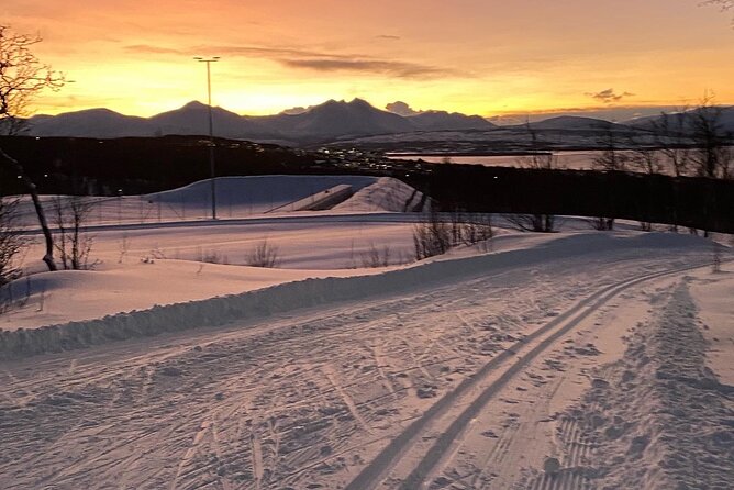 Tromsø Cross-Country Ski Adventure - Why Charlottenlund is a good place to try langrenn