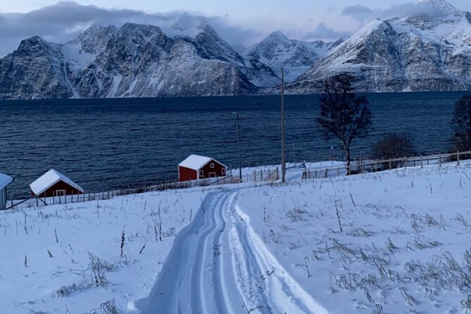 Tromsø Cross-Country Ski Adventure - Who should book this Tromsø ski adventure?