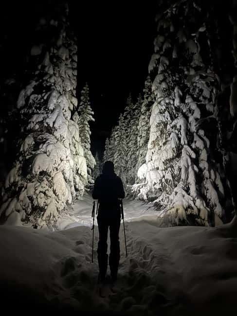 Tromsø: Ski touring (ski de randonnee) - Polar-night skiing from December through February