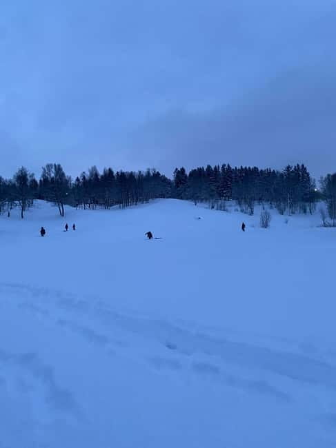 Tromsø: Sledding, Toboggan, Mini Skiing, Lasso & Arctic Fun - What the Host Adds to the Experience