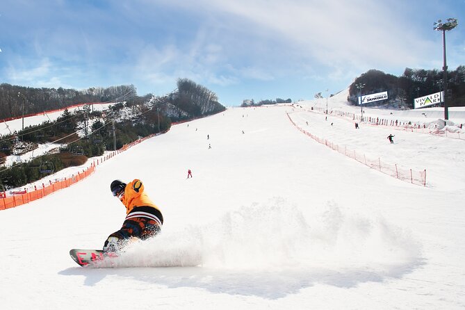 Vivaldi Park Winter Ski Resort with Nami Island Tour from Seoul - Why this Seoul winter day trip works