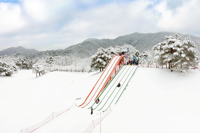 Vivaldi Park Winter Ski Resort with Nami Island Tour from Seoul - Choosing the right Vivaldi Park package