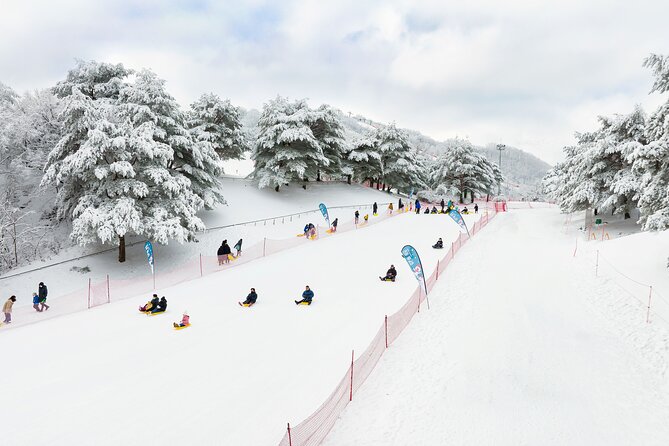 Vivaldi Park Winter Ski Resort with Nami Island Tour from Seoul - Who should book this tour?