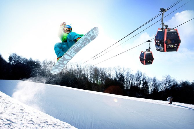 Vivaldi Park Winter Ski Resort with Nami Island Tour from Seoul - The early ride from Seoul to Vivaldi Park