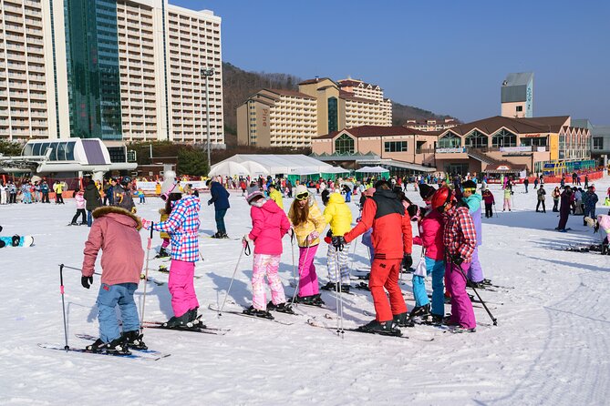 Vivaldi Park Winter Ski with Eobi Ice Valley Day Tour from Seoul - Picking the right package