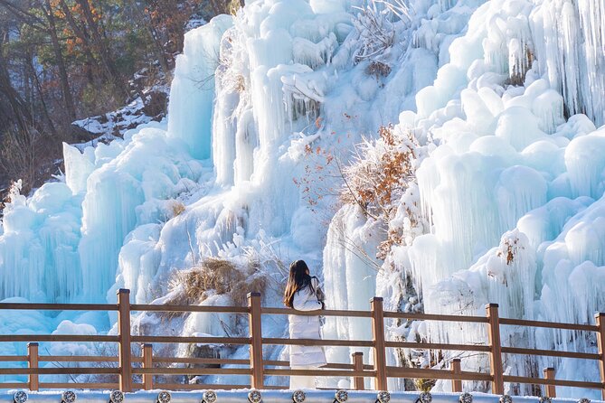 Vivaldi Park Winter Ski with Eobi Ice Valley Day Tour from Seoul - How the day feels for non-skiers