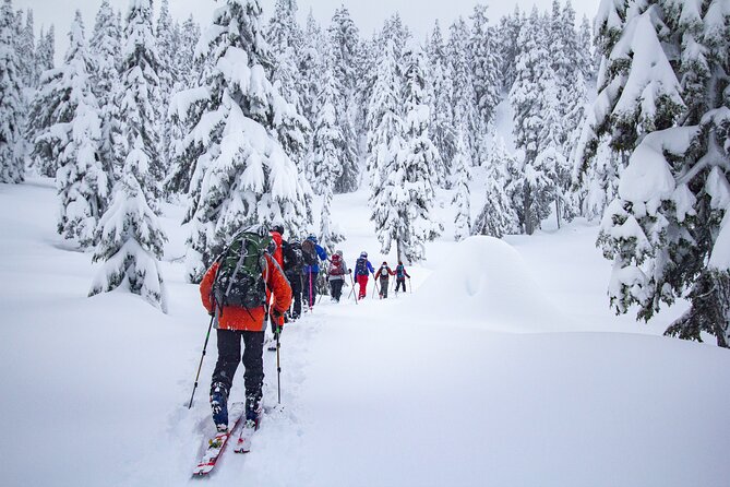 Whistler Intro to Backcountry Skiing and Splitboarding - Who should book this experience