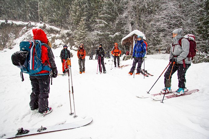 Whistler Intro to Backcountry Skiing and Splitboarding - Small group, real questions, better feedback